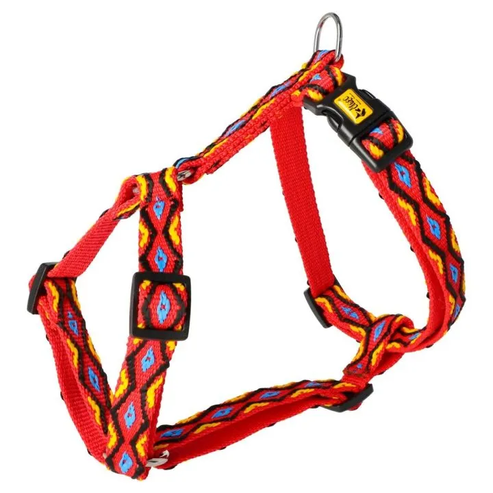 Postroj pre psa Dingo Multi