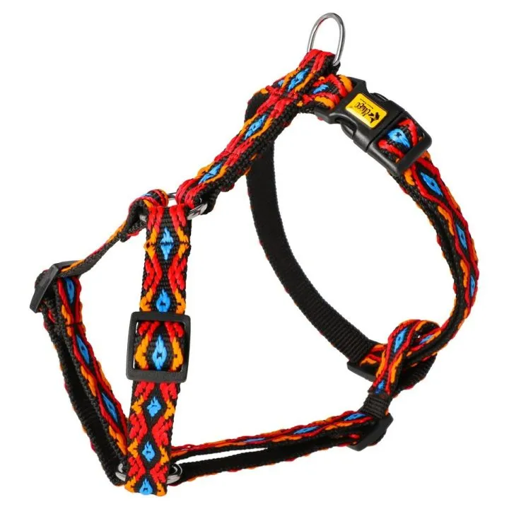 Postroj pre psa Dingo Multi