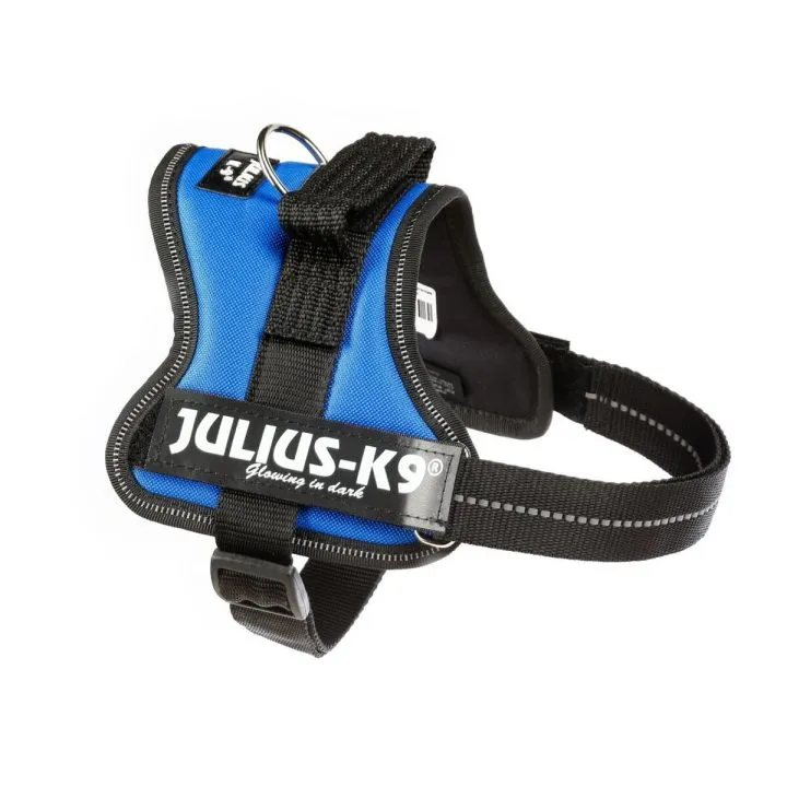 Postroj pre psa Julius K9 Power