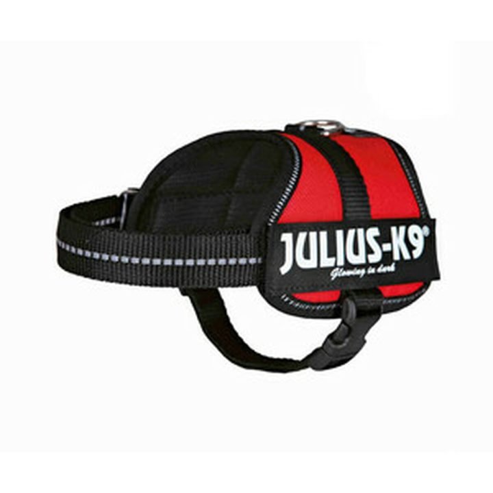 Postroj pre psa Julius K9 Power 2 Baby 2
