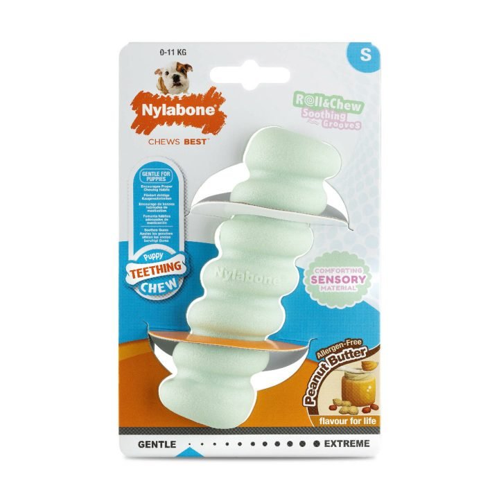 Hračka na žuvanie psa Nylabone SENSORY TACTILE STICK zelená Arašidové maslo Bacon S