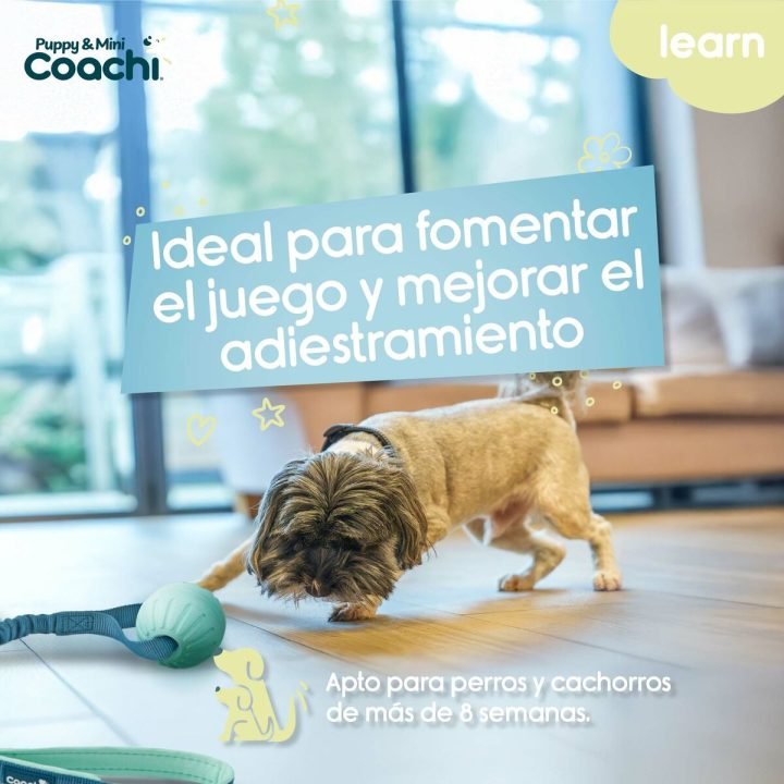 Postroj pre psa Coachi