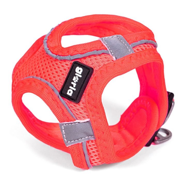Postroj pre psa Gloria Air Mesh Star Veľkosť
