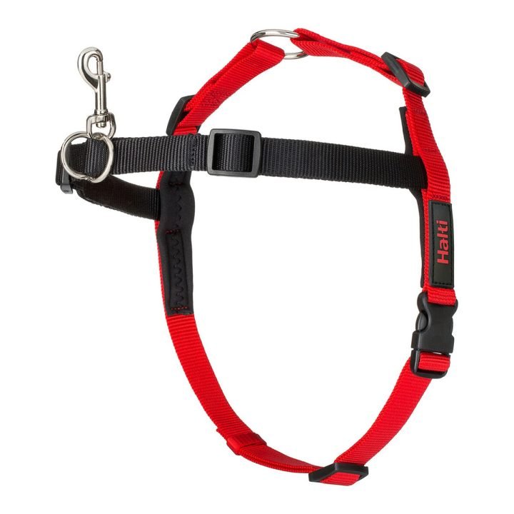 Postroj pre psa Company of Animals Halti Čierna/Červená L (80-120 cm)