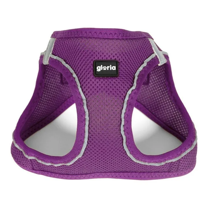 Postroj pre psa Gloria Air Mesh Trek Star Nastaviteľný