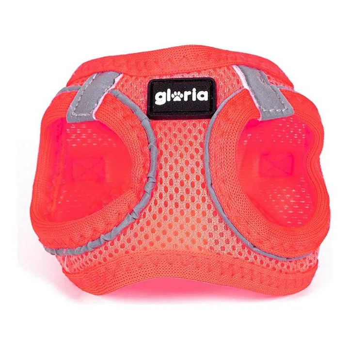Postroj pre psa Gloria Air Mesh Trek Star Nastaviteľný Veľkosť