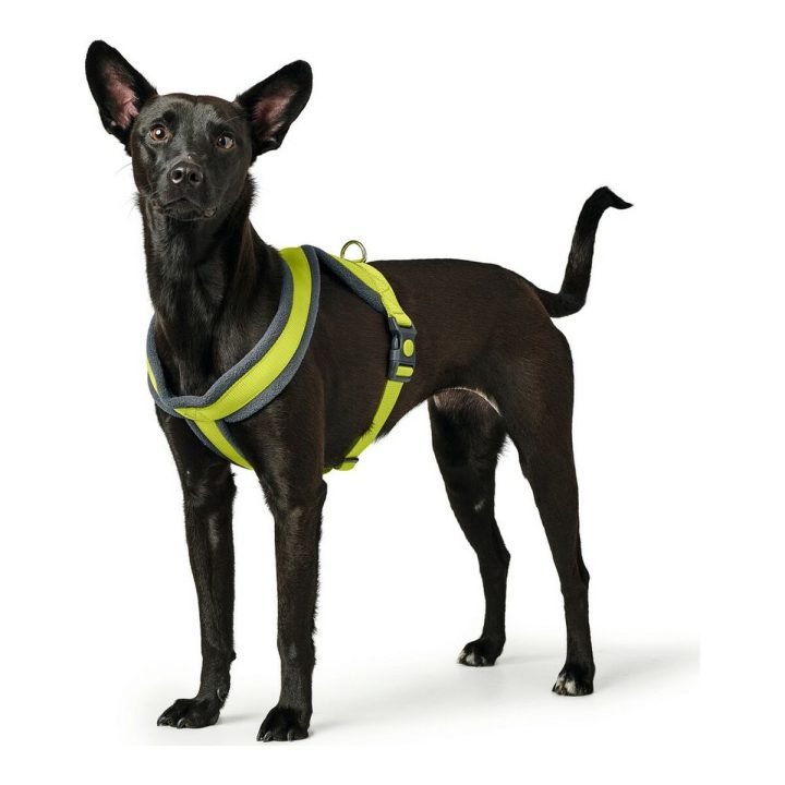Postroj pre psa Hunter London Comfort Lime