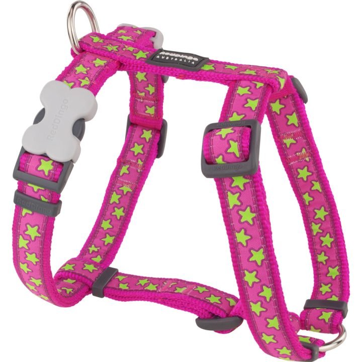 Postroj pre psa Red Dingo STYLE STARS LIME ON HOT PINK