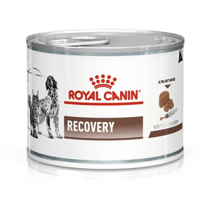 Mokré jedlo Royal Canin Recovery Vtáky Prasa 195 g