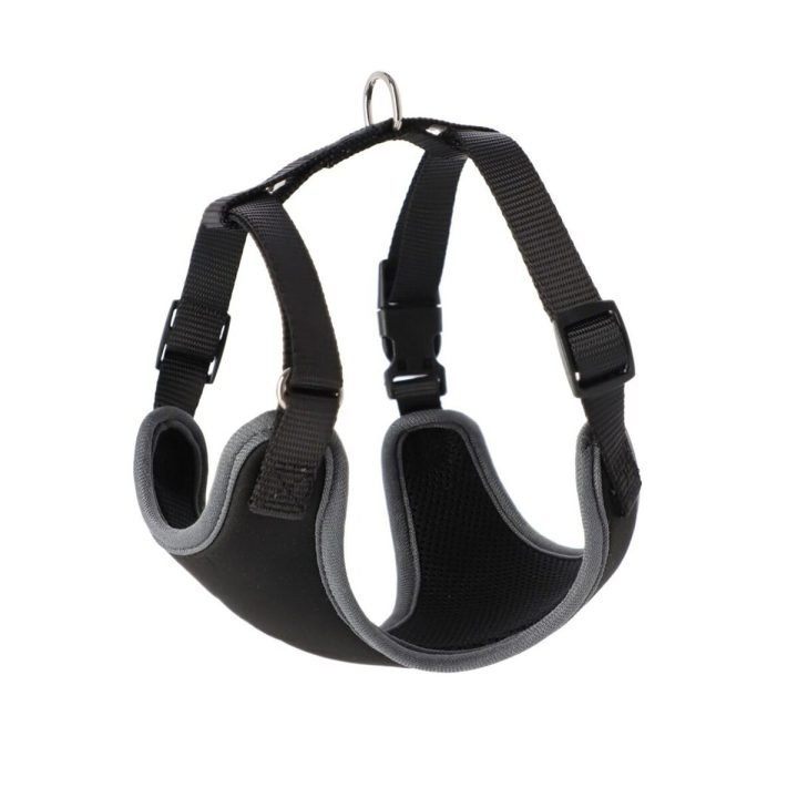 Postroj pre psa Dingo 15866 Čierna 28 - 40 cm