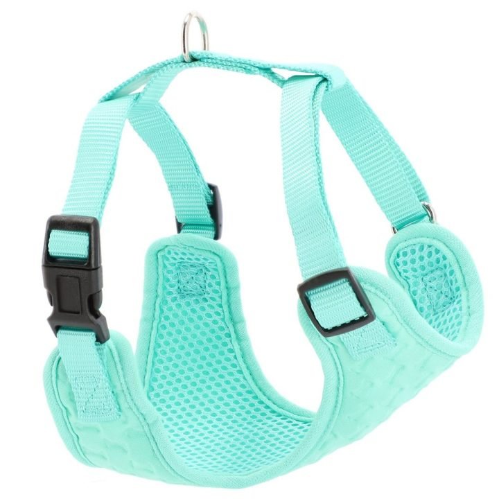 Postroj pre psa Dingo 15873 36 - 51 cm