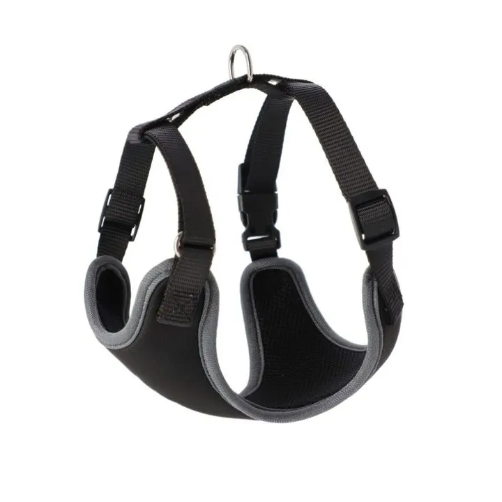 Postroj pre psa Dingo 15867 Čierna 36 - 51 cm